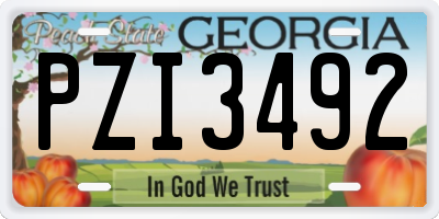 GA license plate PZI3492