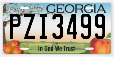 GA license plate PZI3499