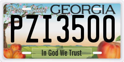 GA license plate PZI3500