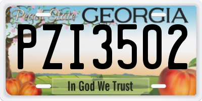 GA license plate PZI3502