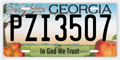 GA license plate PZI3507