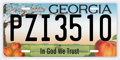 GA license plate PZI3510