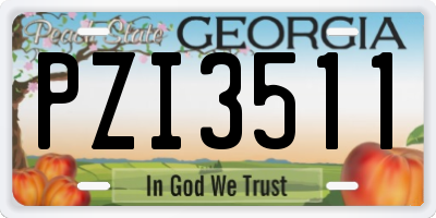 GA license plate PZI3511