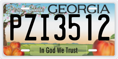 GA license plate PZI3512