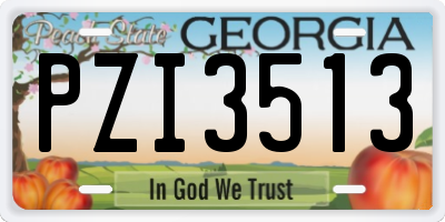 GA license plate PZI3513