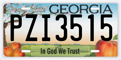 GA license plate PZI3515