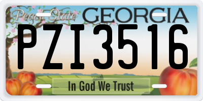 GA license plate PZI3516