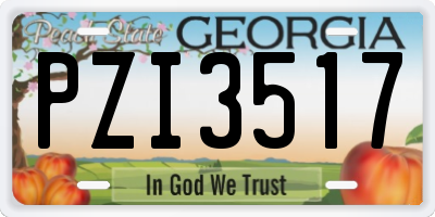 GA license plate PZI3517