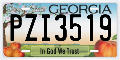 GA license plate PZI3519