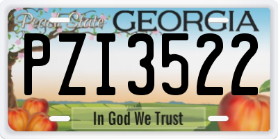 GA license plate PZI3522