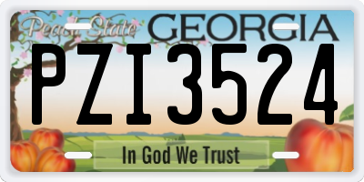 GA license plate PZI3524
