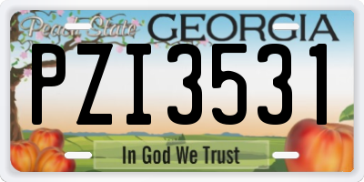 GA license plate PZI3531