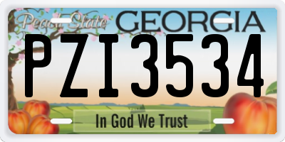 GA license plate PZI3534