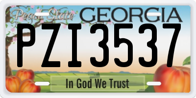 GA license plate PZI3537