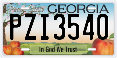 GA license plate PZI3540