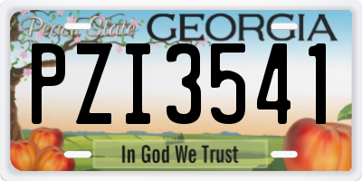 GA license plate PZI3541
