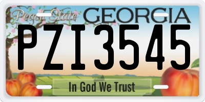 GA license plate PZI3545