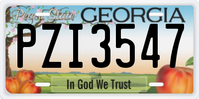 GA license plate PZI3547