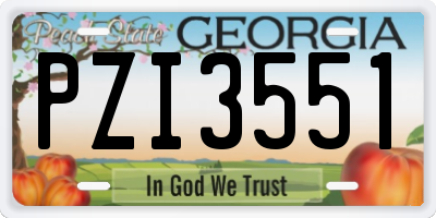 GA license plate PZI3551