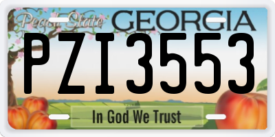 GA license plate PZI3553