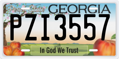 GA license plate PZI3557