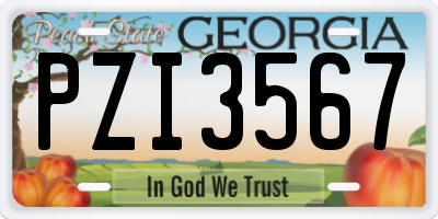 GA license plate PZI3567