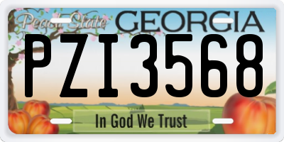 GA license plate PZI3568