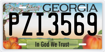 GA license plate PZI3569