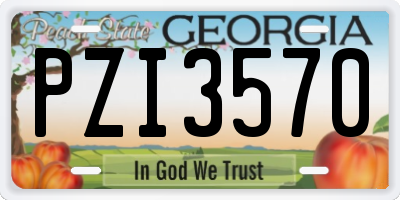GA license plate PZI3570