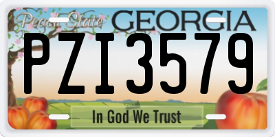 GA license plate PZI3579