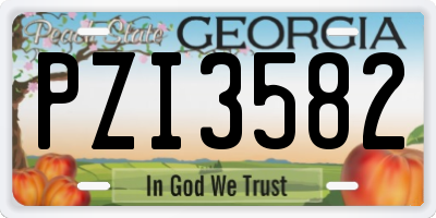 GA license plate PZI3582