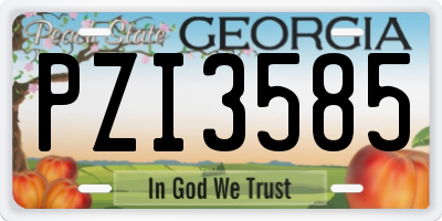 GA license plate PZI3585