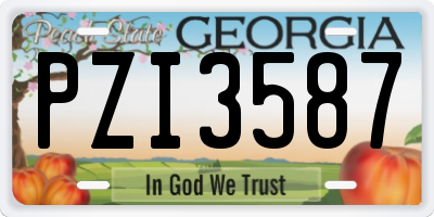 GA license plate PZI3587
