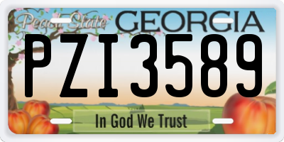 GA license plate PZI3589