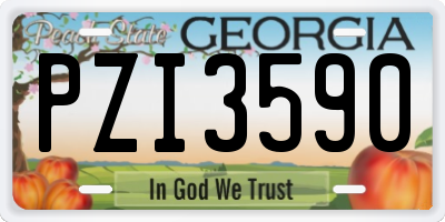 GA license plate PZI3590