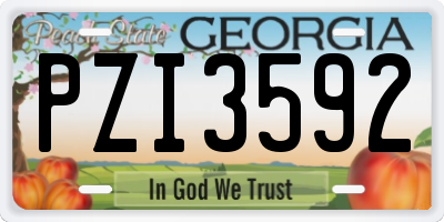GA license plate PZI3592