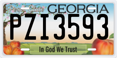 GA license plate PZI3593