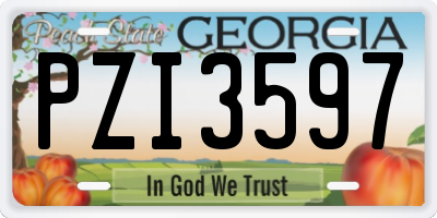 GA license plate PZI3597