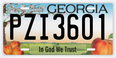 GA license plate PZI3601