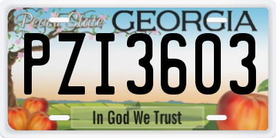 GA license plate PZI3603