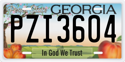 GA license plate PZI3604