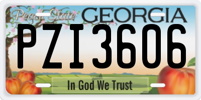 GA license plate PZI3606