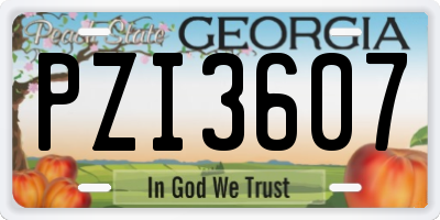 GA license plate PZI3607