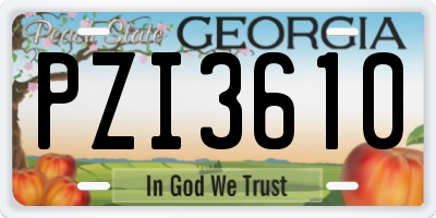 GA license plate PZI3610