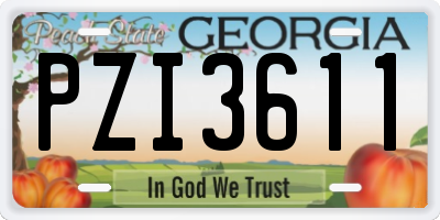 GA license plate PZI3611