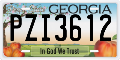 GA license plate PZI3612