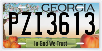 GA license plate PZI3613