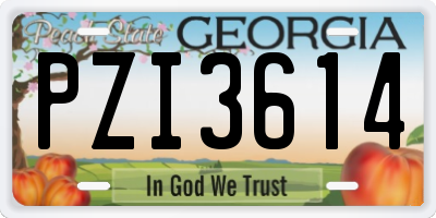 GA license plate PZI3614