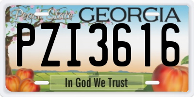 GA license plate PZI3616