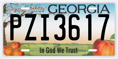 GA license plate PZI3617